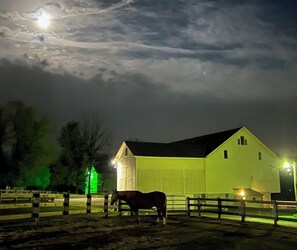 シャワー、ヘアドライヤー、タオル、石鹸