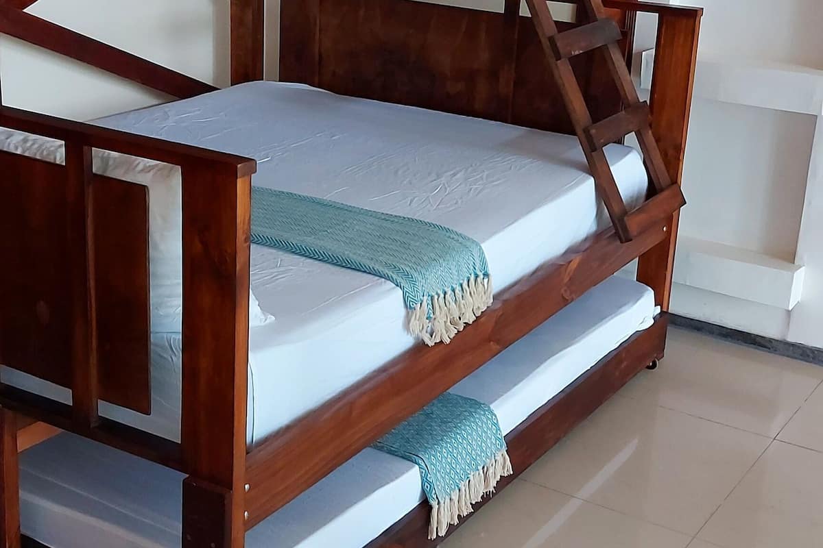 A bunk bed with a wooden frame, two levels, and a ladder.