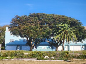 Exterior - Beautiful, town-home in the heart of Tierra Verde Island! Available yearly! (Tierra Verde)