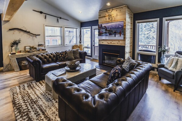 TV, fireplace, books