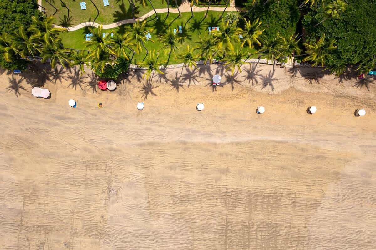 Luchtbeeld van een strand met rijen witte ligbedden en parasols, palmbomen en een gazon met een gebouw op de achtergrond.