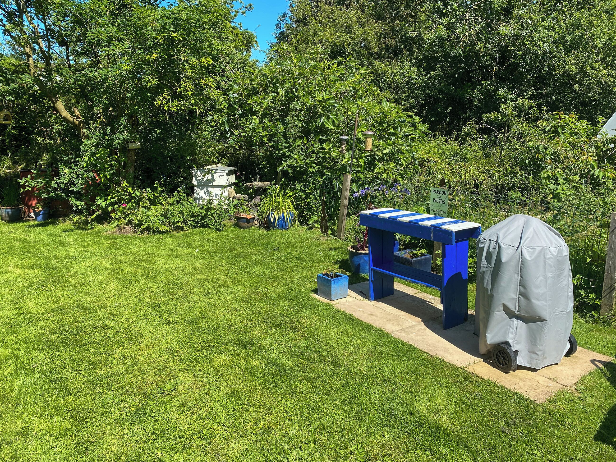 A backyard with a blue table and a covered grill, surrounded by greenery and potted plants.