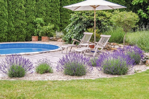 Plante, Propriété, Fleur, Communauté Des Plantes, Vert, Bleu, L'Eau, Paysage Naturel, Botanique, Arbre