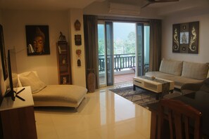 TV, DVD player, books, video library