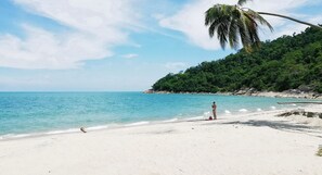 Playa en los alrededores 