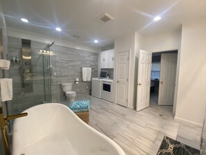 Tina, tina de hidromasaje, secadora de cabello, bidet 