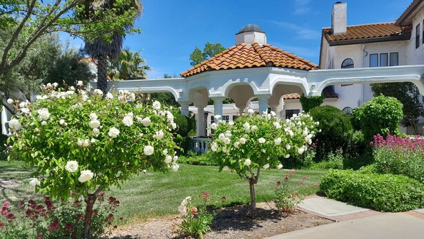 Un jardin agrémenté d’arbres à fleurs blanches, un belvédère et un bâtiment doté d’un toit en tuiles.