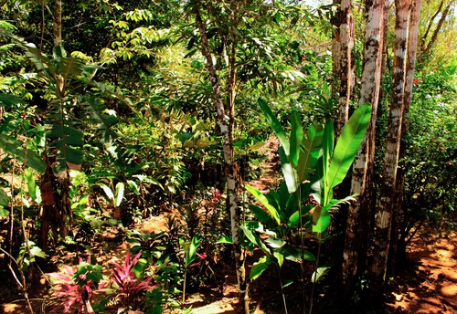 La Casita Bungalow Equipped Cabin With Garden View Near to the Beach