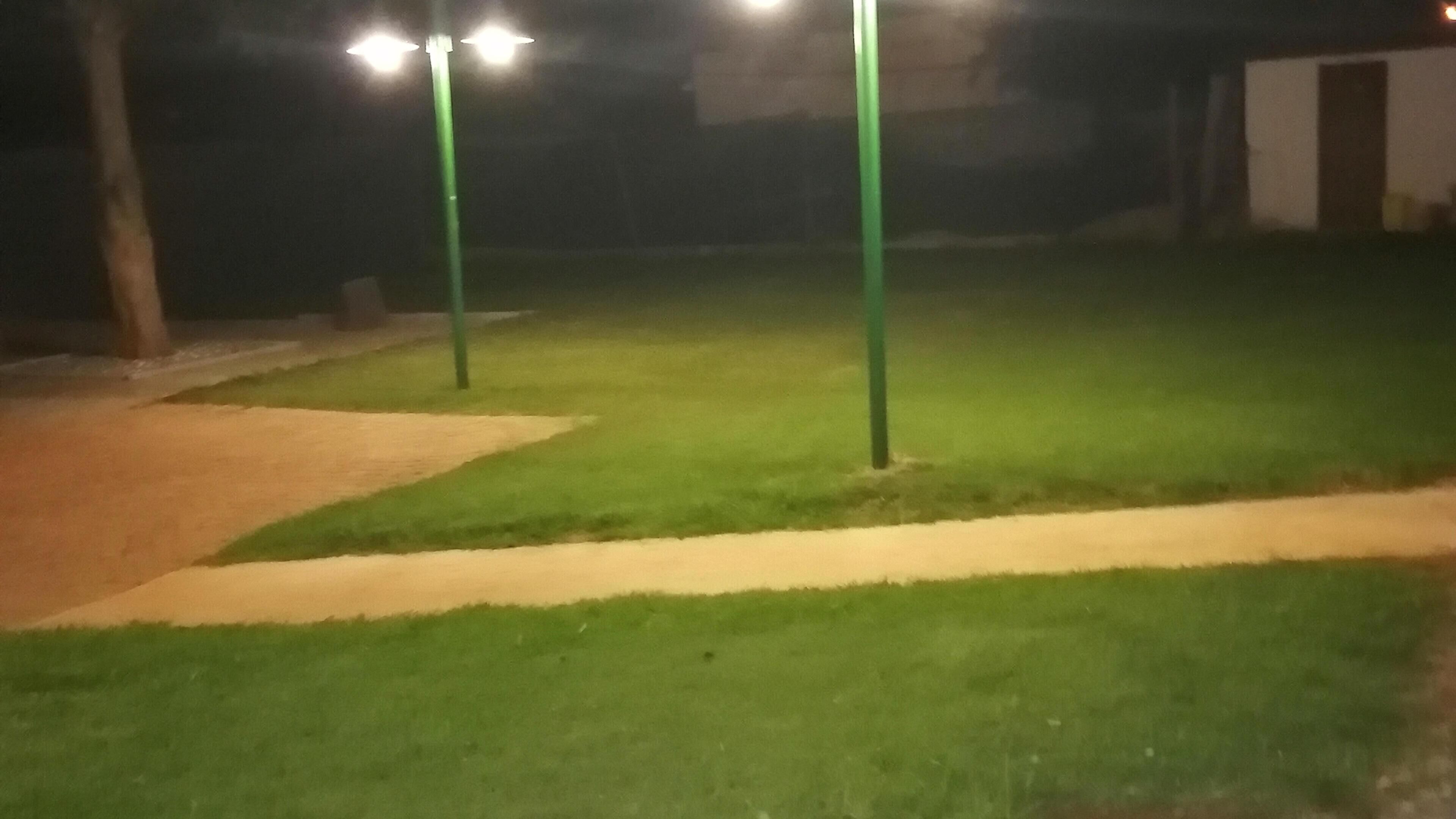حديقة