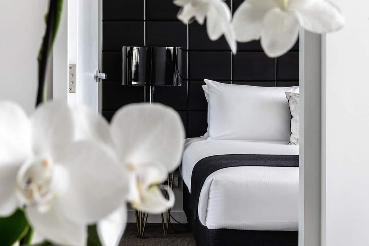 Estudio urbano | Decoración personalizada y muebles diferentes