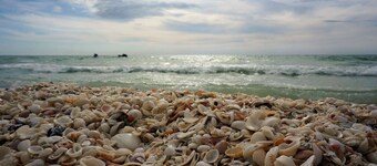 Family Fun Getaway w/Beach Gear, Pool in Sun & WiFi ~1mi to Beach; Walk to Dining/Shops