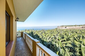 Property grounds - Holiday Home ‘Finca Alejandrina’ with Sea View, Pool, Garden & Wi-Fi (La Guancha)