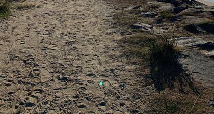 Maison pĂȘcheur rĂ©novĂ©e avec jardin clos et 600M de la mer