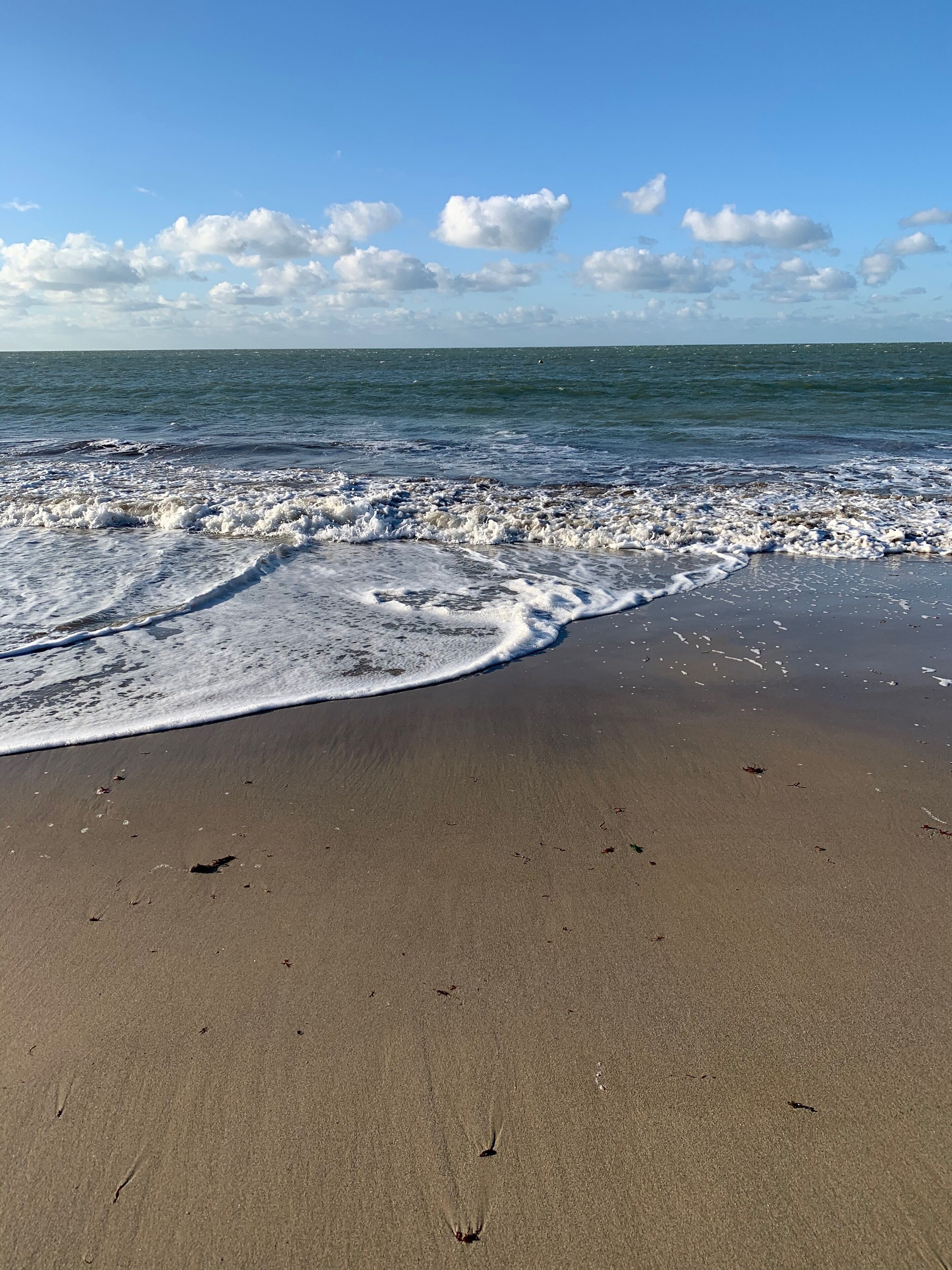 Playa en los alrededores y camastros 