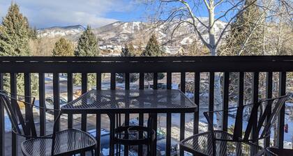 Top floor two level 2 bedroom, Mountain View!