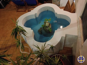 En lille indendørs pool med en fontæne i midten, omgivet af plantede krukker.