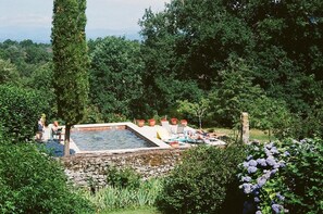 Ein rechteckiger Pool mit Steinrand, umgeben von üppigem Grün und Bäumen.