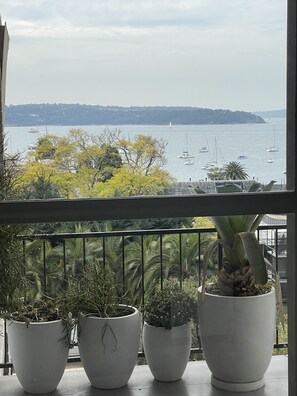 Interior - Stylish Harbourside Apartment in Elizabeth Bay (Elizabeth Bay)