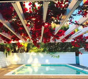 Outdoor pool - Stylish Harbourside Apartment in Elizabeth Bay (Elizabeth Bay)