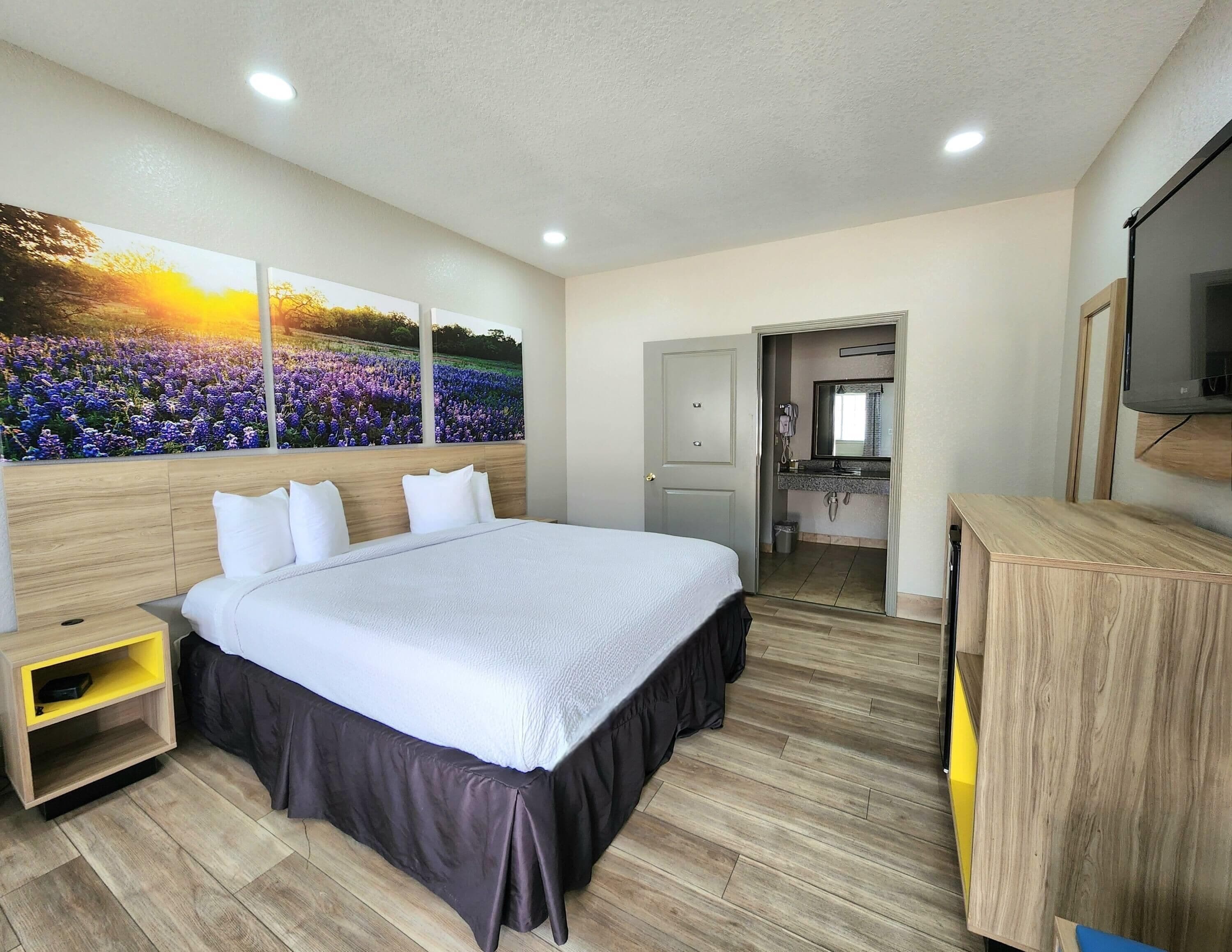 Chambre, 1 très grand lit, accessible aux personnes à mobilité réduite (Mobility, Roll-in Shower) | Fer et planche à repasser, Wi-Fi gratuit, draps fournis