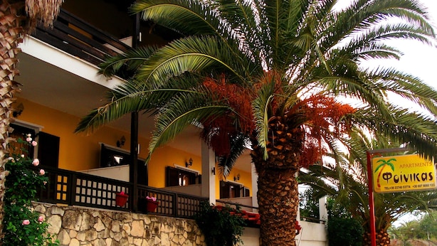 A building with a stone wall, a palm tree, and a sign for 'Phoivikas Apartments'. - Finikas Apartments Polichrono (Kassandra)