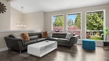 Smart TV, fireplace, books, video library