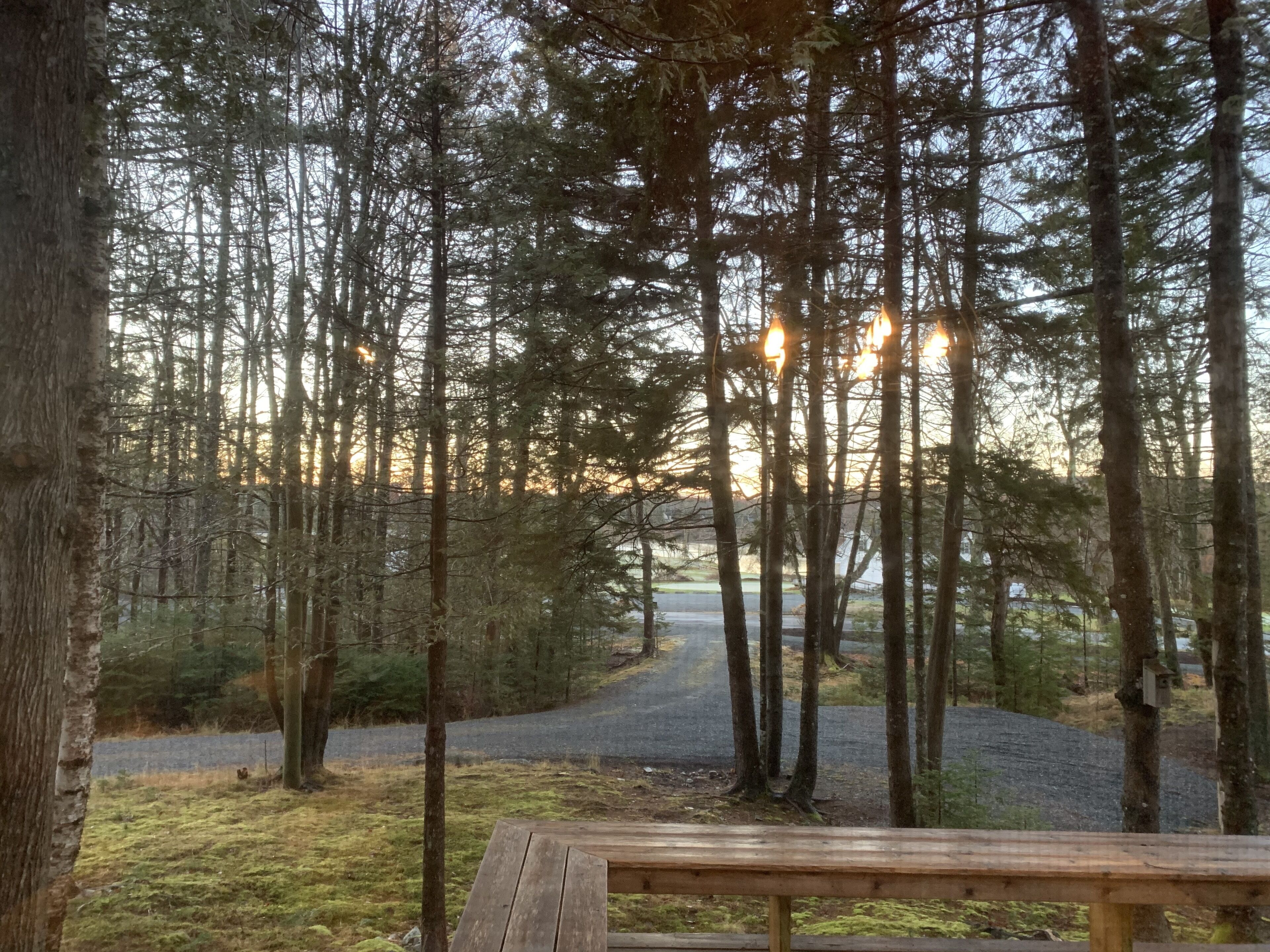 The Pines - Southwest Harbor Maine