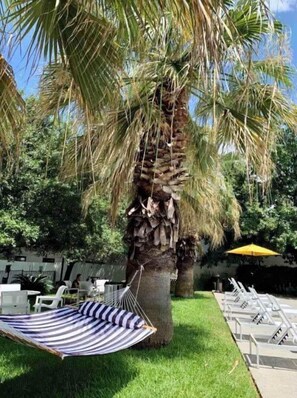 Uklassifisert bilde, 2 av 18, knapp