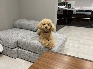 패밀리 하우스 | 객실 내 식사 공간