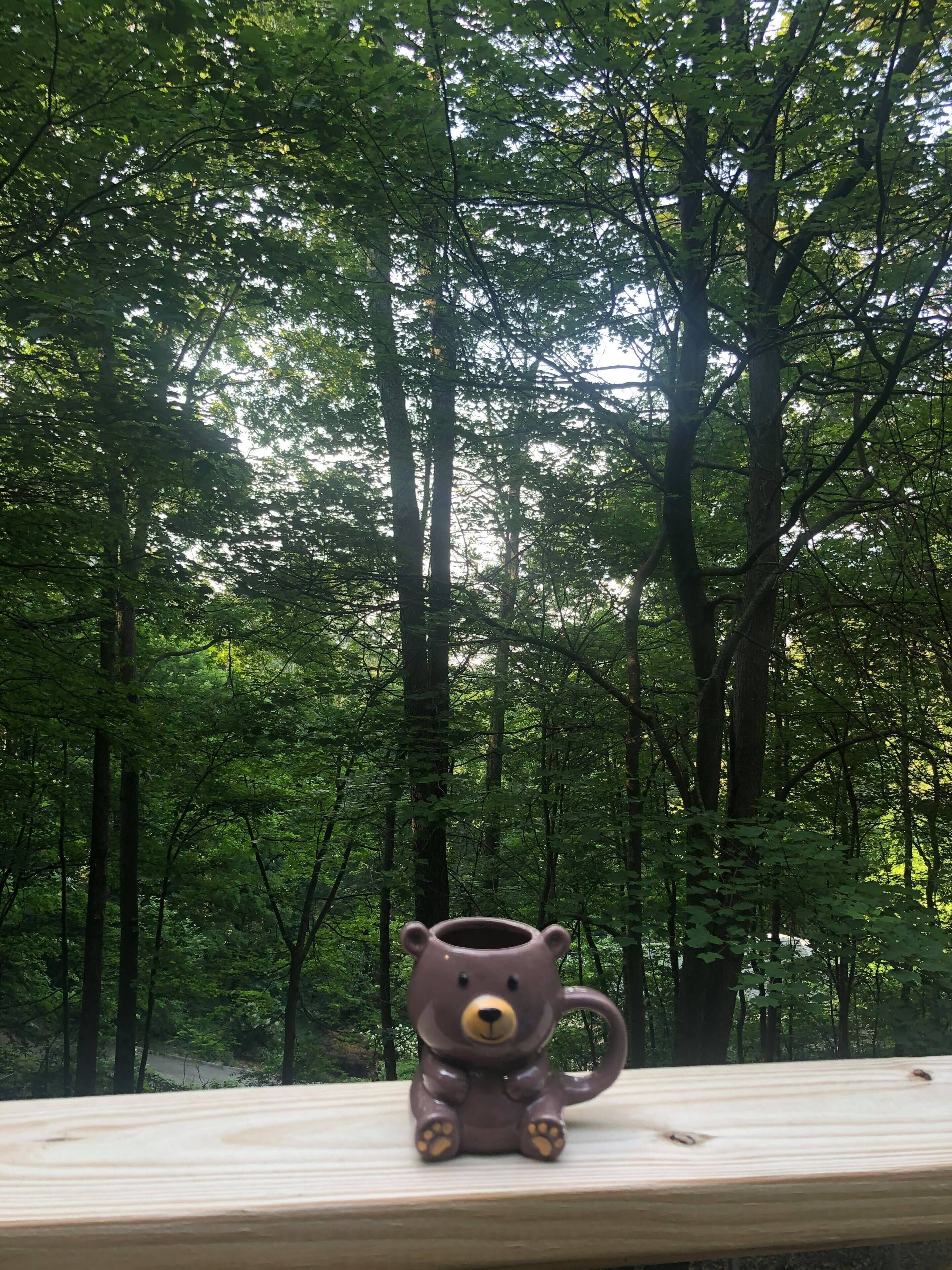 Une terrasse en bois avec une grande tasse en céramique à l’effigie d’un ours.