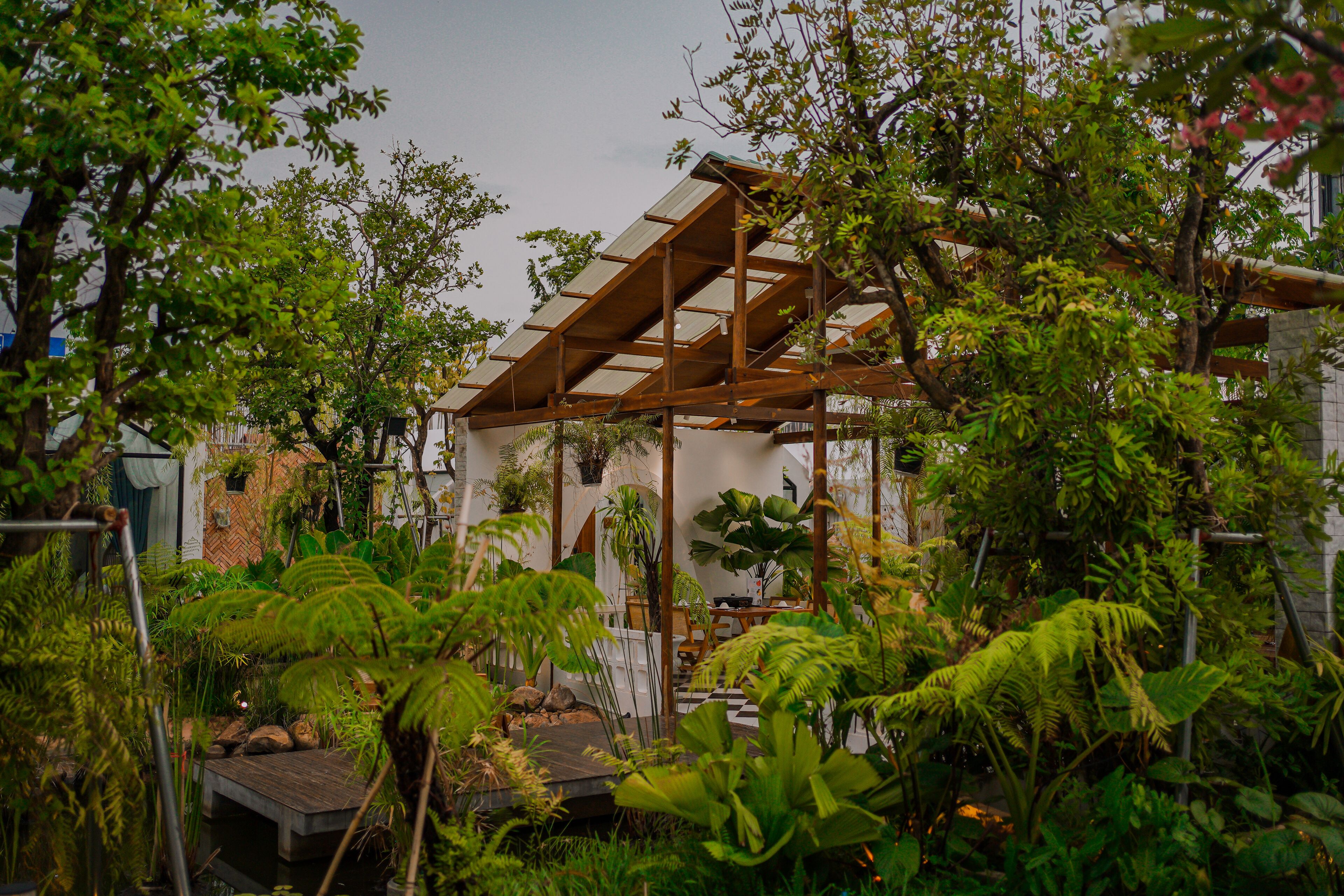 Quang cảnh từ phòng