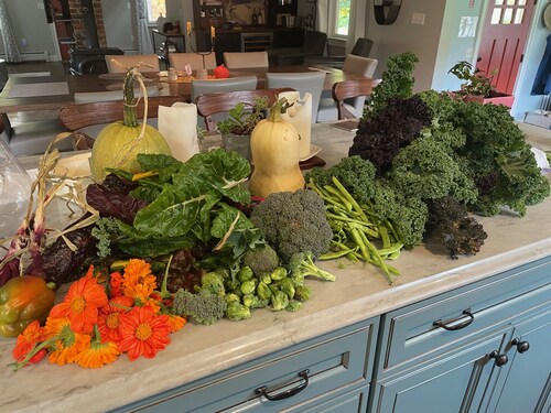 Luxury Rural Stay Close to Town