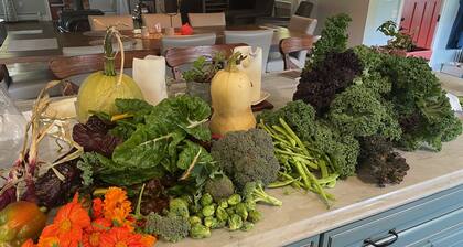 Luxury Rural Stay Close to Town