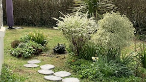 Un jardín con un sendero de piedra, diversas plantas y una palmera.