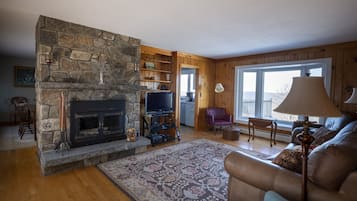 Smart TV, chimenea, oficina