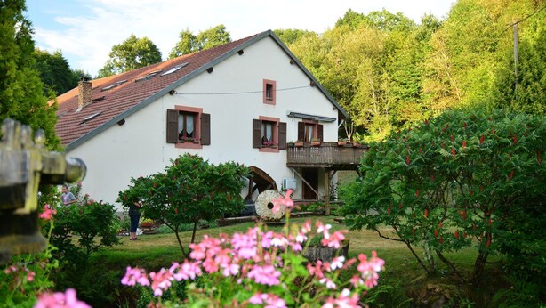 Ein weißes Haus mit rotem Ziegeldach, einer Holzterrasse und einem Garten mit rosa Blumen.