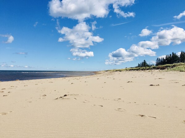 Playa en los alrededores, camastros y toallas de playa