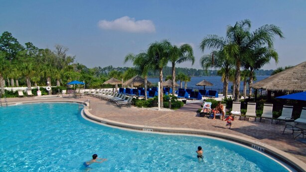 Piscina con sillas de descanso y sombrillas, rodeada de palmeras y cielo despejado.