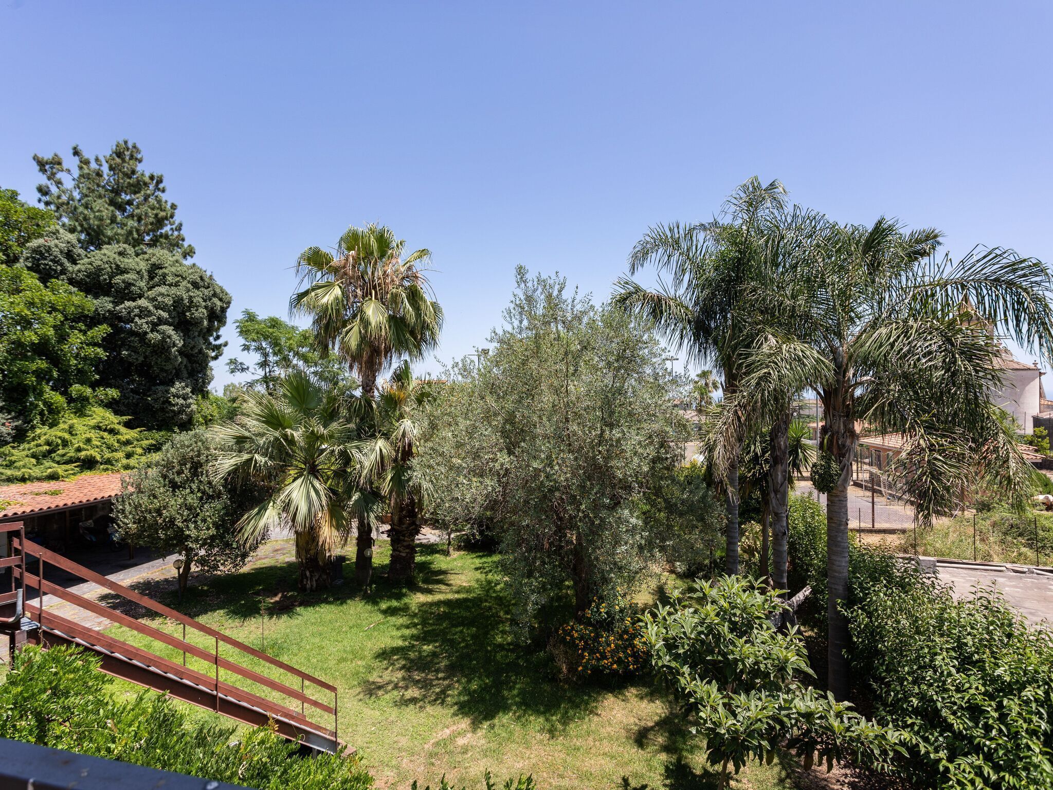 A garden with various trees and a metal staircase.