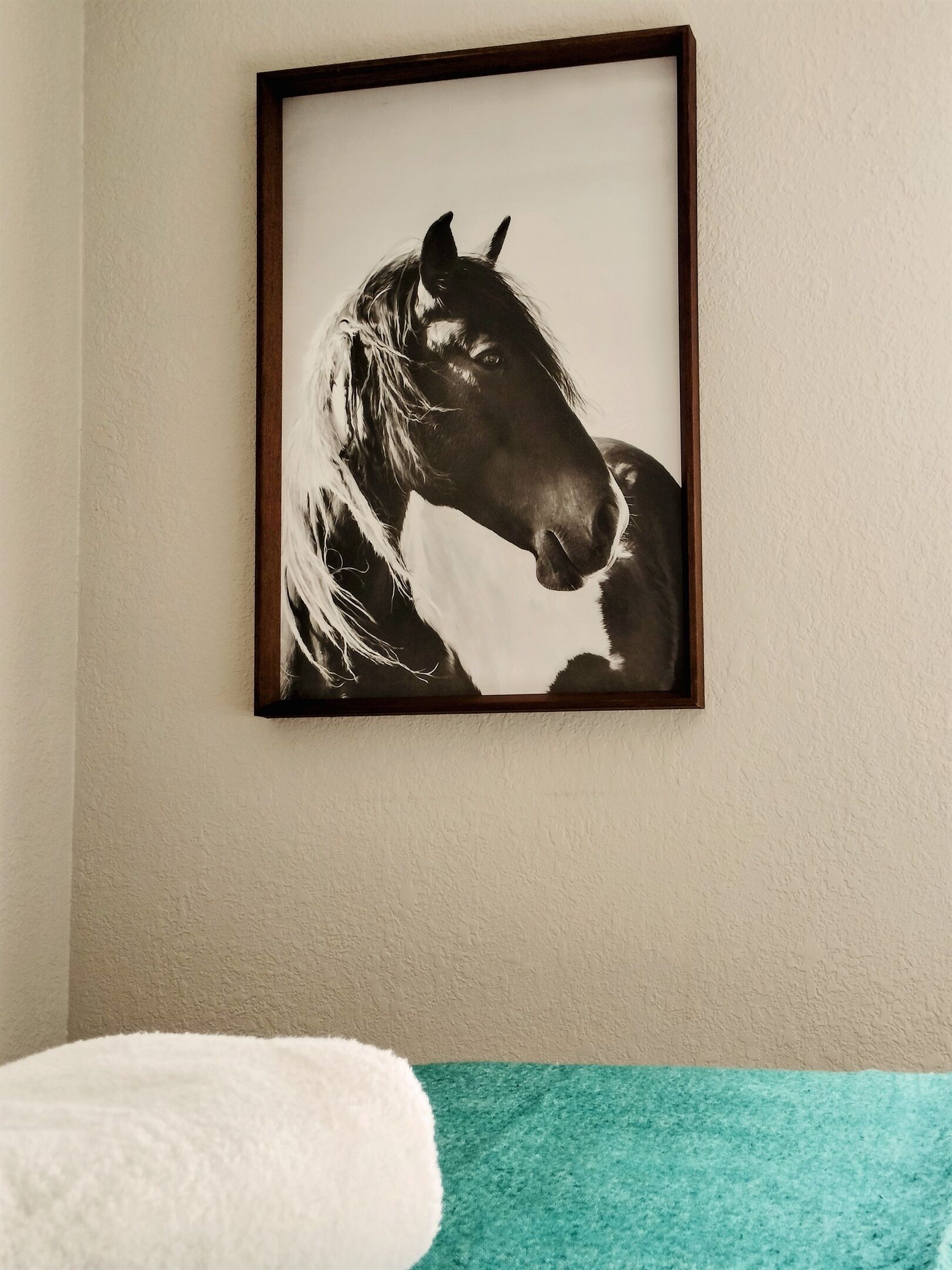 Ein gerahmtes Schwarz-Weiß-Porträt eines Pferdes an einer Wand.