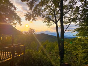 Property grounds - Private pet-friendly Aska Adventure Area getaway with gorgeous views! (Blue Ridge)