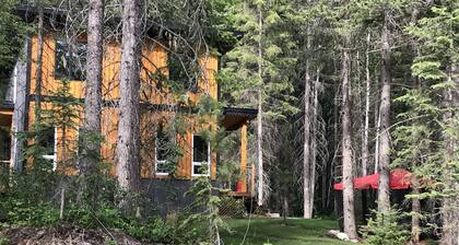 Shady forest Base camp! 2 homes, a chalet and a cabin, sleeps 8!