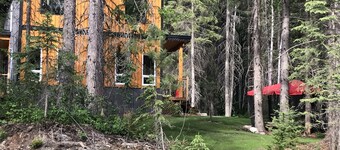 Shady forest Base camp! 2 homes, a chalet and a cabin, sleeps 8!