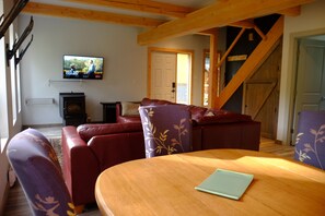 Téléviseur connecté, foyer