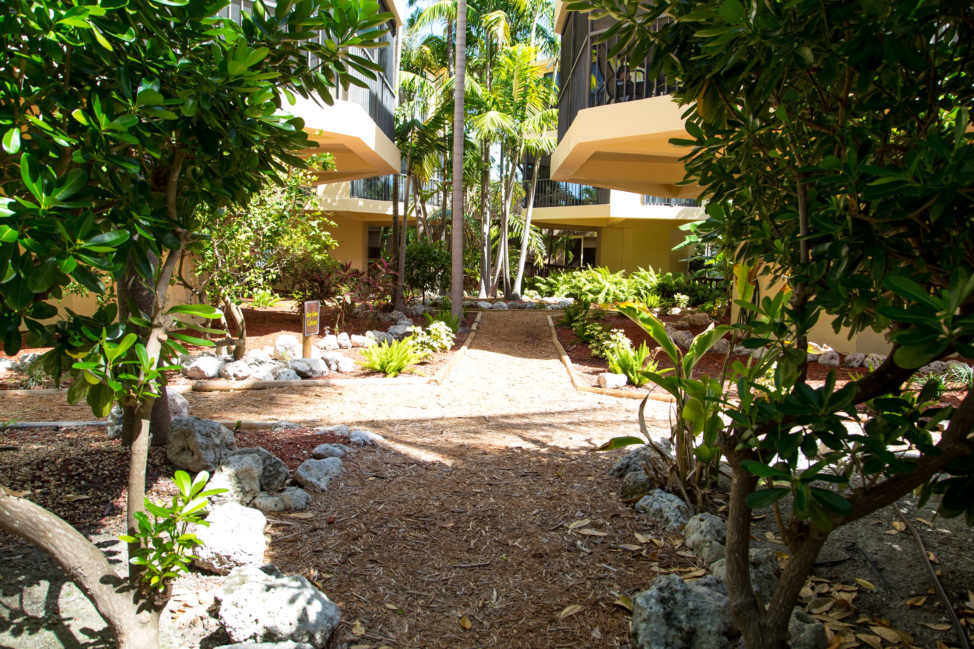 A courtyard with a central pathway surrounded by greenery and rocks, leading to a building with yellow walls and large umbrellas.
