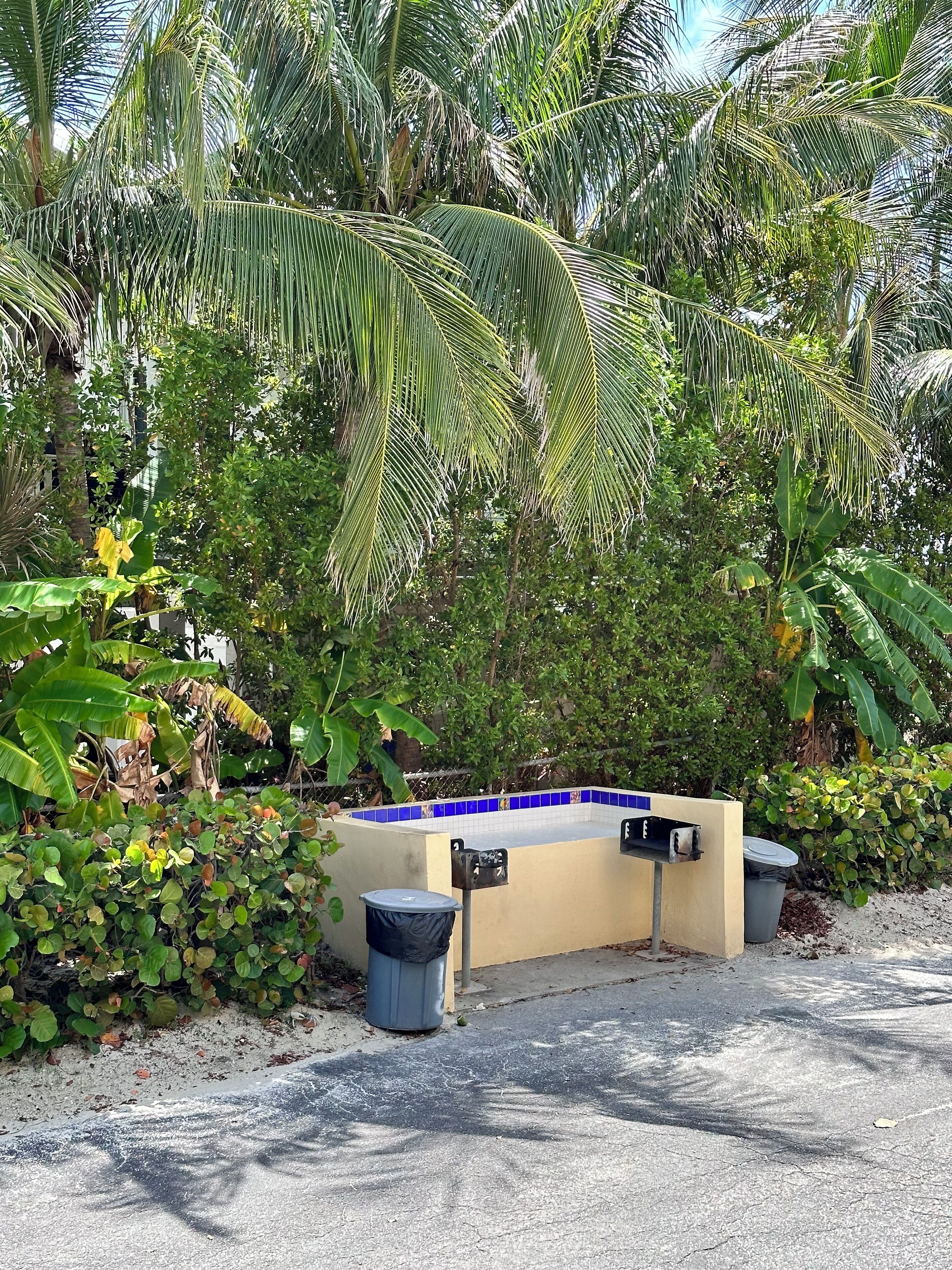 A pool area with a blue tiled edge, surrounded by lush greenery and palm trees.