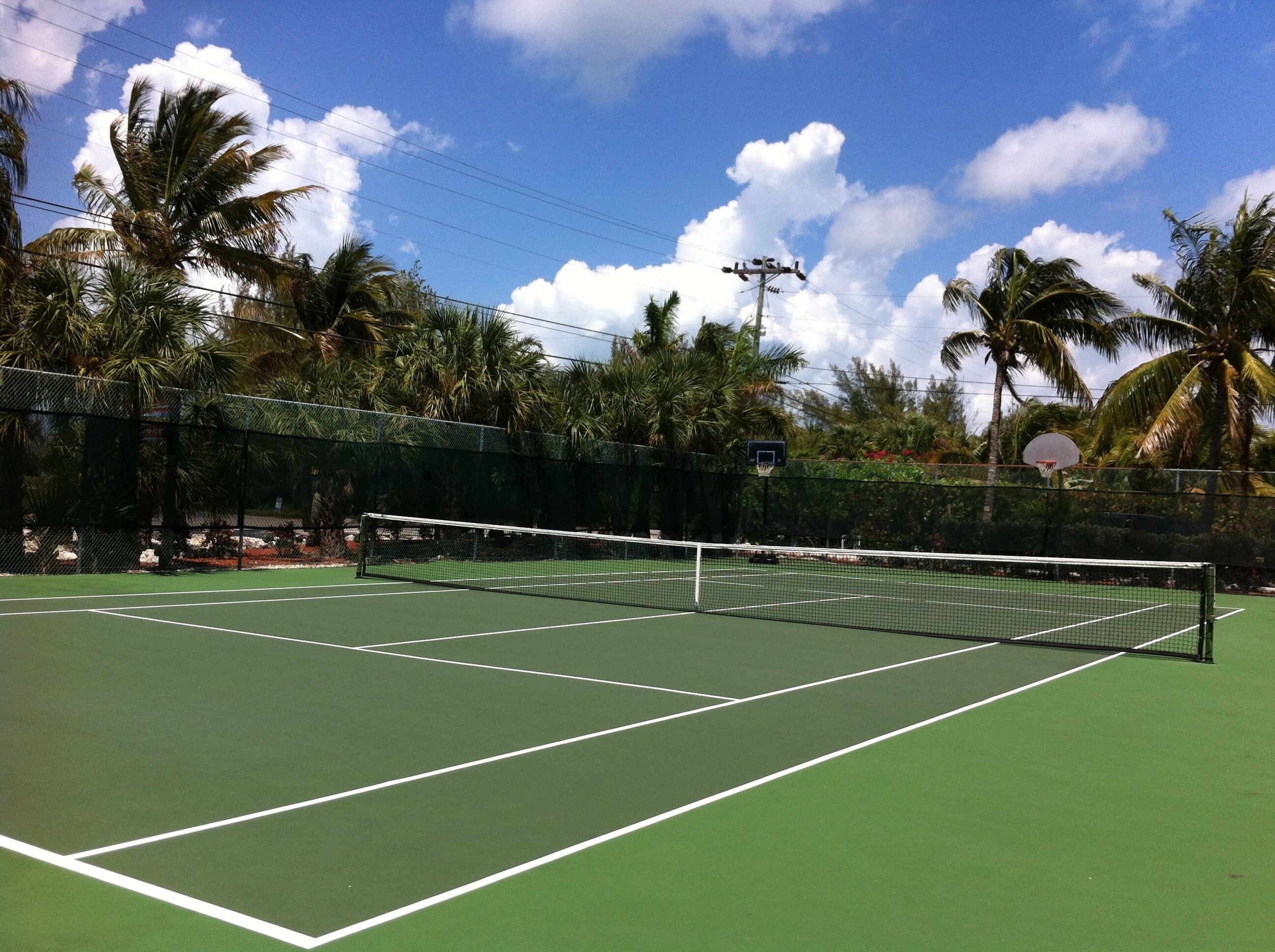 A tennis court with a net, surrounded by palm trees and a clear sky.