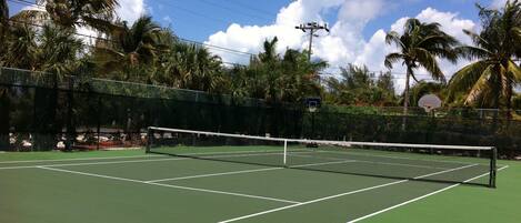 A tennis court with a net, surrounded by palm trees and a clear sky.