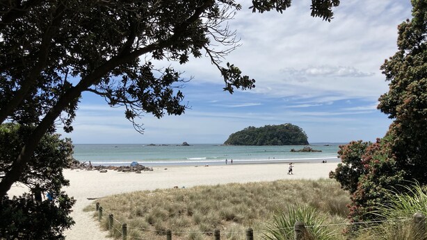 A beach path leading to a sandy beach with a view of the ocean and a small island. - Beach House (Tauranga)