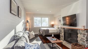 智能电视、壁炉、Netflix、书